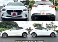 demo car